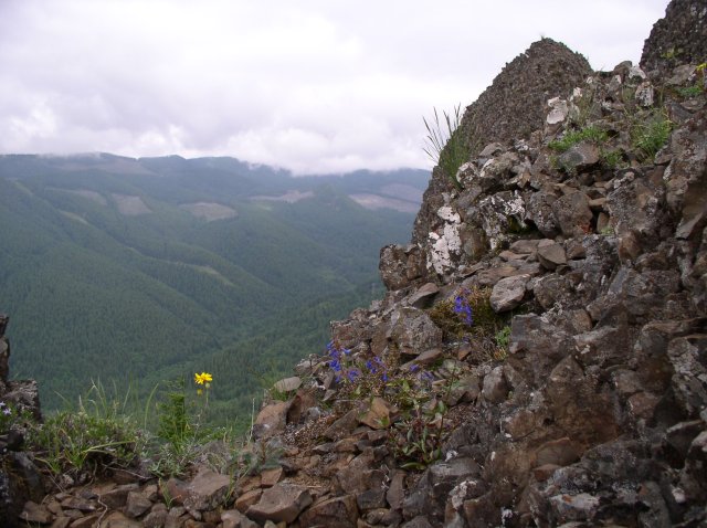 6.10.06 Table Mtn_3CR 044 